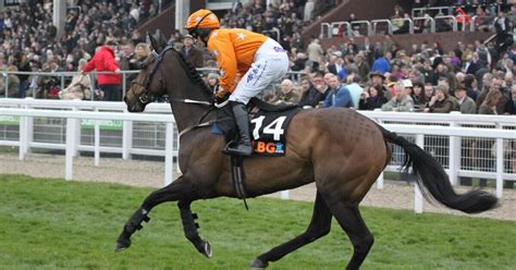 Triumph Hurdle Preview, Tips, Runners & Trends .